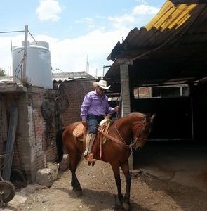 Meet your Posher, Leonel